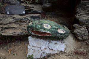 Stone frog in Dzongdrakha