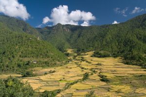 Landscape around Khamsum lhakhang