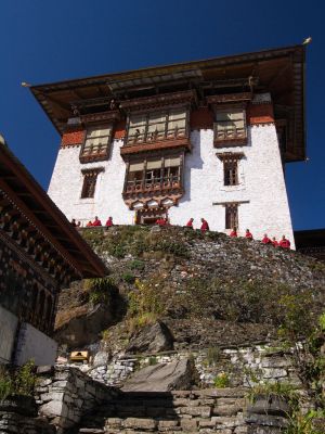 Gasa dzong tower
