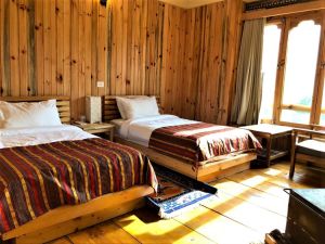 Dhangsa Resort, room