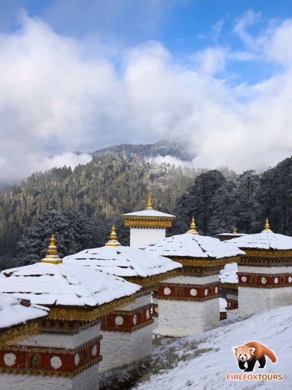 can we visit bhutan in december