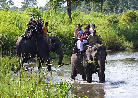 Elephant ride in Jaldapara